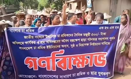 মজুরি ৫০০ টাকা করার দাবিতে হবিগঞ্জে চা শ্রমিকদের বিক্ষোভ