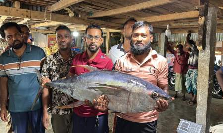 কুয়াকাটায় জেলের জালে ধরা পড়ল ২৮ কেজি টুনা মাছ, ৪০ হাজার টাকায় বিক্রি