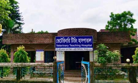 ওটি নেই, শেড নেই, আধুনিক যন্ত্রপাতির সংকট, চ্যালেঞ্জে হাবিপ্রবির ভেট হাসপাতাল