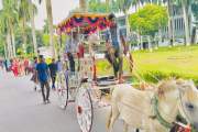 লালগালিচা ও ঘোড়ার গাড়িতে বাকৃবি অধ্যাপককে রাজকীয় বিদায়