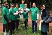 ঢাকা বিশ্ববিদ্যালয়ে গাছ আছে ১৭ হাজার ১৬১টি, প্রজাতি ২৭৭