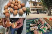 বিতরণের আগেই পচা ডিম শনাক্ত, প্রতিমন্ত্রীর নির্দেশে দ্রুত ব…