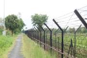 জুড়ী সীমান্ত দিয়ে ১০ জনকে পুশইন