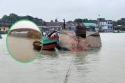 ৫ হাজার বস্তা ধান-চাল নিয়ে মেঘনায় ডুবল কার্গো