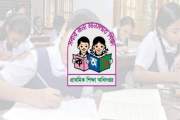 প্রাথমিক বৃত্তির ফল প্রকাশ কাল, দেখবেন যেভাবে