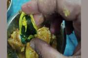 চবির হলের খাবারে মিলল নারীর ছবিসদৃশ স্টিকার, ক্ষোভ শিক্ষার্…