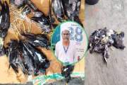 খামারে ঢোকায় শত শত বন্য পাখি হত্যার অভিযোগ, ক্ষোভে ফুঁসছে স…