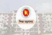 সরকারি হলো আরও এক স্কুল