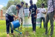 জুলাই চেতনা ও স্মৃতিকে ধারণ করে রুয়েটে ২৪ প্রজাতির বৃক্ষরো…