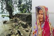 বসতভিটার পর মাকসুদা বেগমের স্বামীর কবরও নদীগর্ভে বিলীন