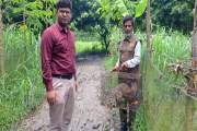 পাবনায় বিরল প্রজাতির গন্ধগোকুল উদ্ধারের পর অবমুক্ত
