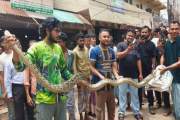 চট্টগ্রাম বিশ্ববিদ্যালয়ে এবার ১৫ ফুট লম্বা অজগর উদ্ধার