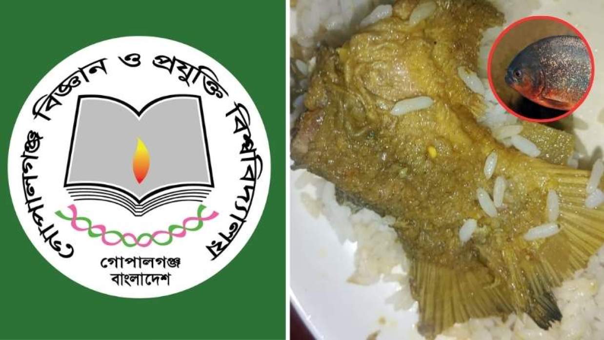 ডাইনিংয়ে শিক্ষার্থীদের নিষিদ্ধ পিরানহা মাছ পরিবেশন
