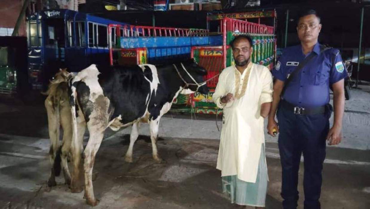 জব্দ কর গরুসহ যুবদল কর্মী শরিফুল