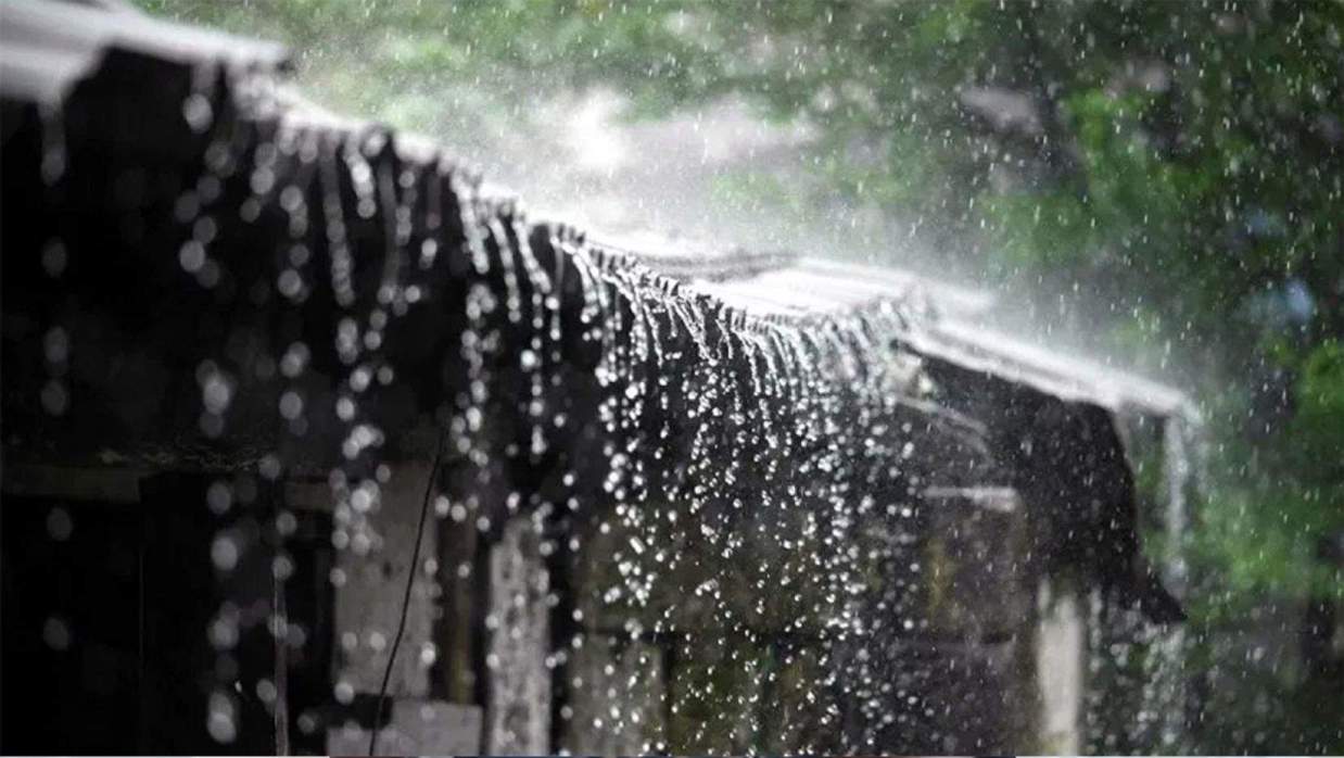 প্রতীকী ছবি