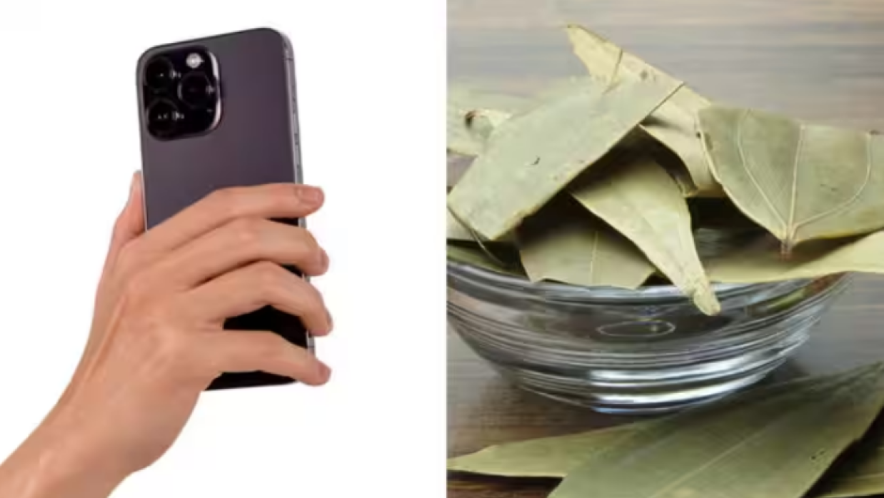 ফোনের কভারে তেজপাতা