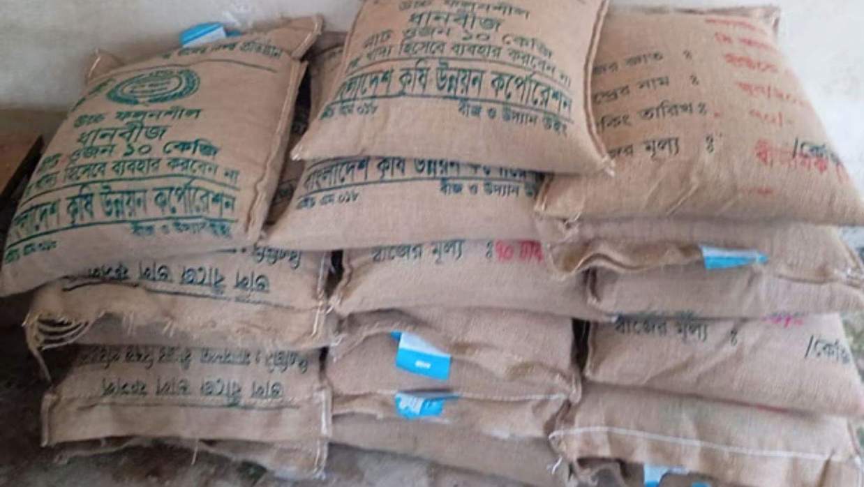 উদ্ধার হওয়া ধানের বীজ