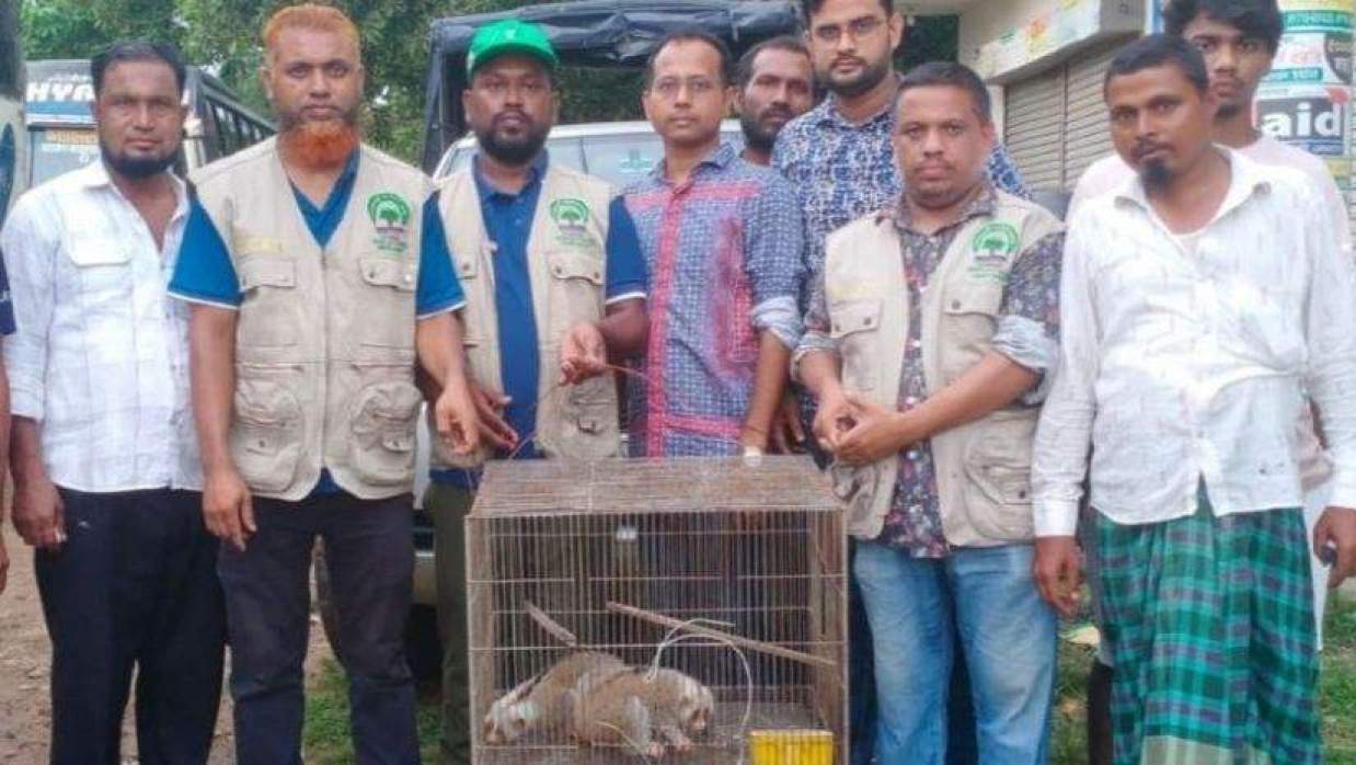 ময়মনসিংহে ‘পাচারকারীদের’ ফেলে যাওয়া দুই লজ্জাবতী বানর উদ্ধার