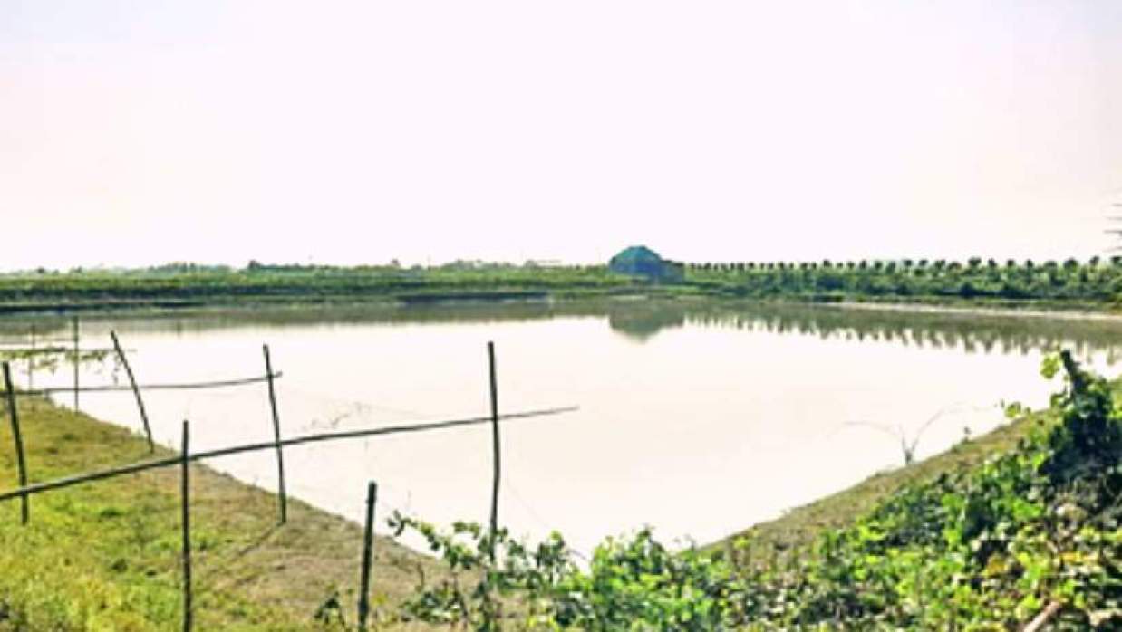 হাইমচর উপজেলার ৪ নম্বর নীলকমল ইউনিয়নের বাহেরচরে মেঘনা নদীর পশ্চিমের এই খাসজমির মালিকানা নিয়ে বিরোধ রয়েছে