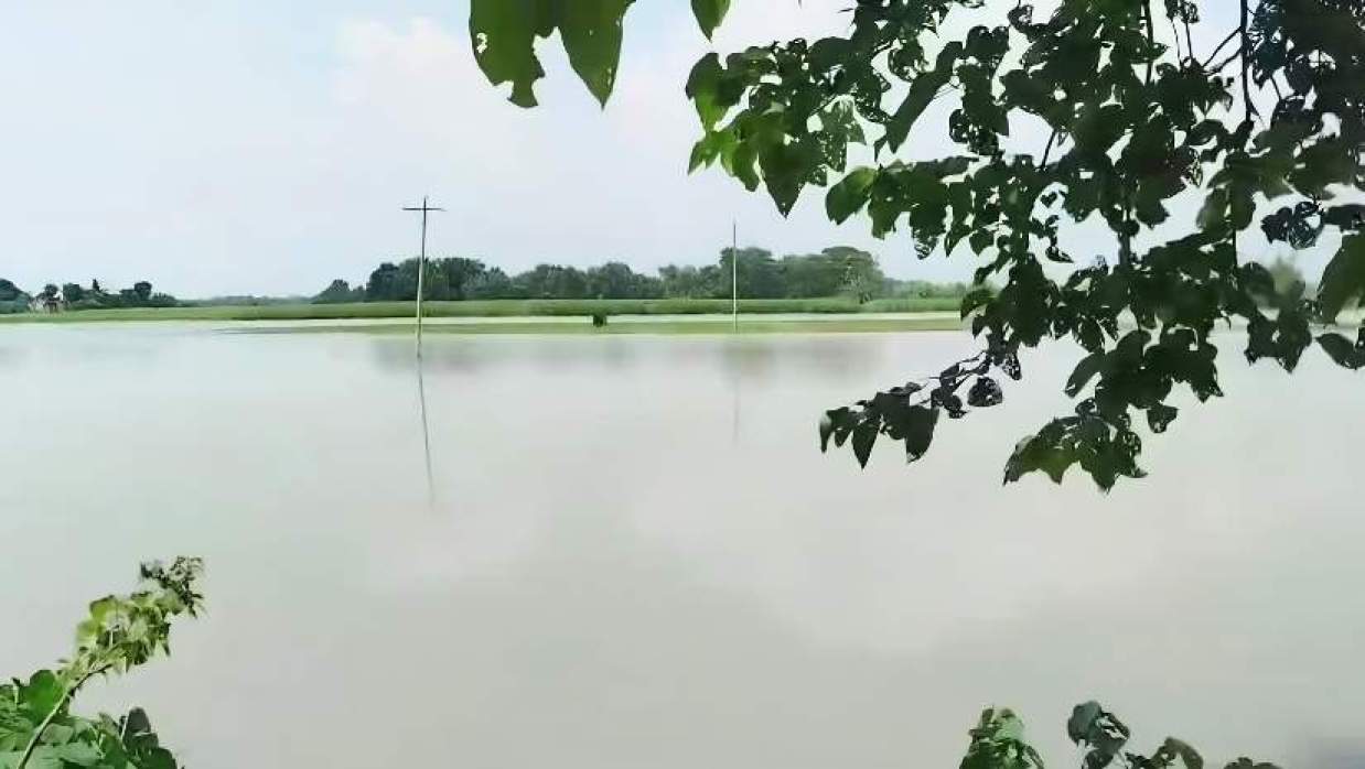 পাগলা নদীর এই স্থানে ওই ৫ শিশুর মৃত্যু হয়