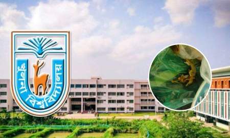 খুবির কেন্দ্রীয় ক্যাফেটেরিয়ার খাবারে মিলল টিকটিকি