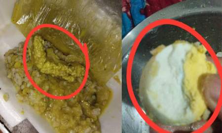 ডালের সঙ্গে মুরগির নাড়িভুঁড়ি, পচা ডিম ও নিম্নমানের চাল দিয়ে গোবিপ্রবির ফিস্ট