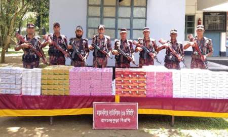 শেরপুর সীমান্তে বিজিবির অভিযানে ভারতীয় ওষুধ জব্দ