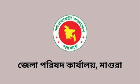 মাগুরা জেলা পরিষদ কার্যালয়ে বিভিন্ন পদে চাকরি, আবেদন ১০ সেপ্টেম্বর পর্যন্ত