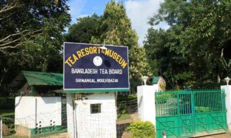 ব্যবস্থাপক নিয়োগ দেবে বাংলাদেশ চা বোর্ড, আবেদন ৩১ আগস্ট পর্যন্ত