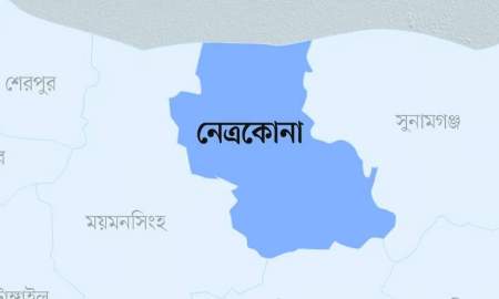 গরুর জন্য ঘাস কাটতে গিয়ে বজ্রপাতে কলেজ শিক্ষার্থীর মৃত্যু