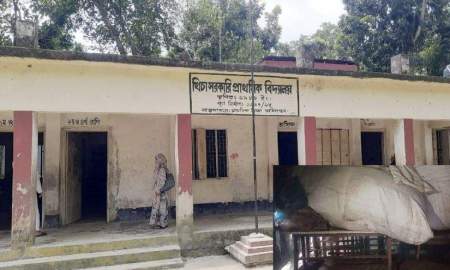স্কুল থেকে বেঞ্চ গেল গোয়ালঘরে, জানেন না প্রধান শিক্ষক!