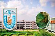খুবির কেন্দ্রীয় ক্যাফেটেরিয়ার খাবারে মিলল টিকটিকি