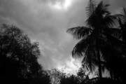 বৃষ্টি নিয়ে আজ যে বার্তা দিল আবহাওয়া অফিস