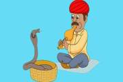 গাইবান্ধায় সাপের কামড়ে প্রাণ গেল সাপুড়ের