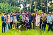 প্রধানমন্ত্রীর ২৫ কোটি বৃক্ষরোপণ কর্মসূচিতে পবিপ্রবি ছাত্রদ…
