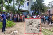 মেহেরপুরে ১০ ল্যান্ডমাইনসদৃশ বস্তু উদ্ধার