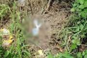 যশোরে ককটেল বিস্ফোরণে যুবক আহত