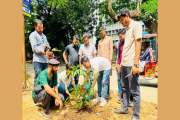 খালেদা জিয়ার জন্মদিন উপলক্ষে ঢাবিতে বৃক্ষরোপণ ছাত্রদল নেতা …
