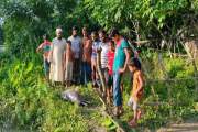 নদীতে ভেসে উঠল মৃত ডলফিন