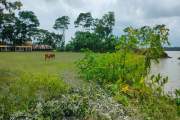 ভাঙনে নদীগর্ভে বিলীনের শঙ্কায় দুই বিদ্যালয়