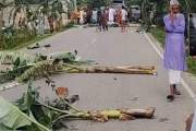 সড়কে কলাগাছ ফেলে ছুরি হাতে যুবক, দেড় ঘণ্টা বন্ধ যান চলাচল