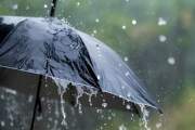 ৭ জেলায় সকালের মধ্যে বৃষ্টি আভাস  