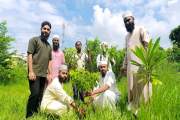 ইসলামী ছাত্র আন্দোলনের ৩৫তম প্রতিষ্ঠাবার্ষিকীতে ইবিতে বৃক্ষ…