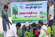 জাতীয় বিশ্ববিদ্যালয়ের নির্দেশনায় জাতীয় আইন কলেজে বৃক্ষরোপণ …