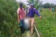 মানিকগঞ্জে ফসলের জমিতে পড়ে ছিল নারীর মরদেহ
