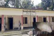 স্কুল থেকে বেঞ্চ গেল গোয়ালঘরে, জানেন না প্রধান শিক্ষক!