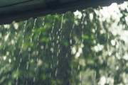 ৭ জেলায় সকালের মধ্যে বৃষ্টির আভাস