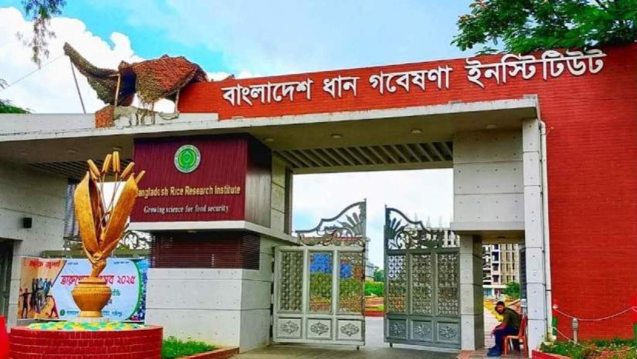 ৬ কর্মকর্তা নিয়োগে আবেদন চলছে বাংলাদেশ ধান গবেষণা ইনস্টিটিউট, গাজীপুরে