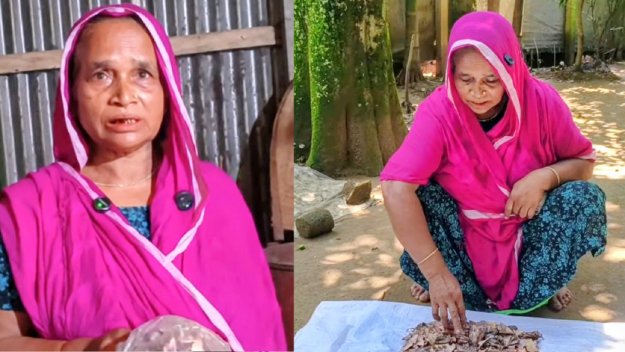 মনোয়ারা বেগম