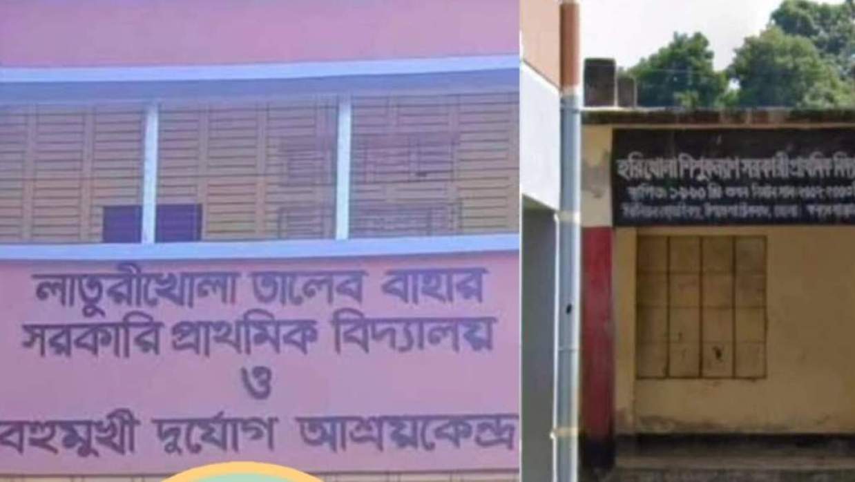 হরিখোলা সরকারি প্রাথমিক বিদ্যালয় ও লাতুরিখোলা সরকারি প্রাথমিক বিদ্যালয়
